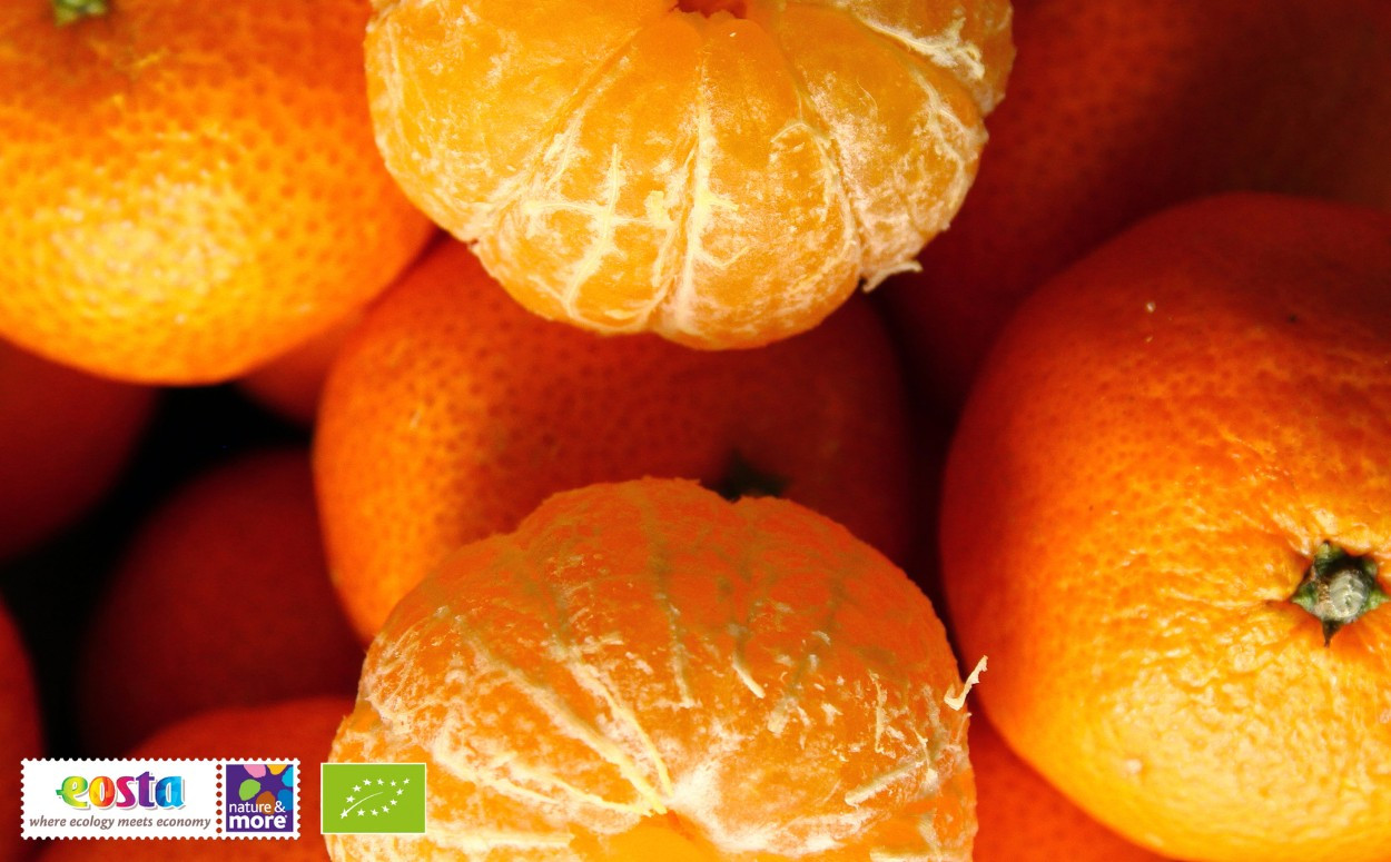 Biologische mandarijnen_ perfect schoolfruit (3)