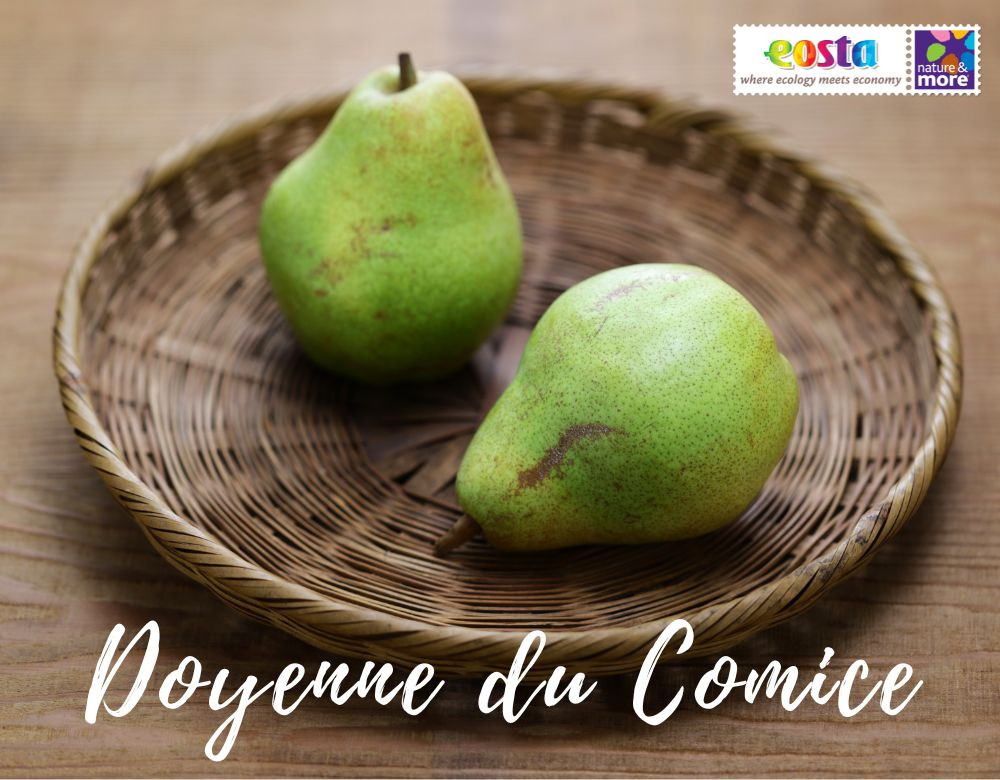1920 doyenneducomice