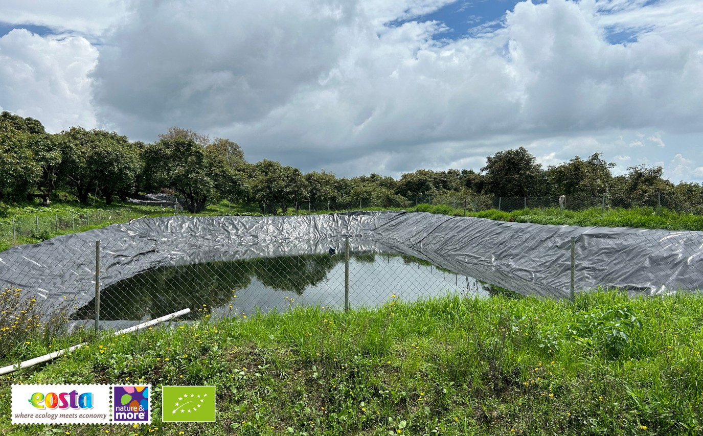 Duurzaam watermanagement bij Eosta (2)