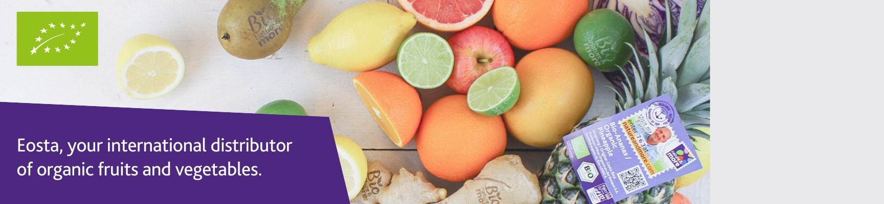 1920 emailbanners773x178px33