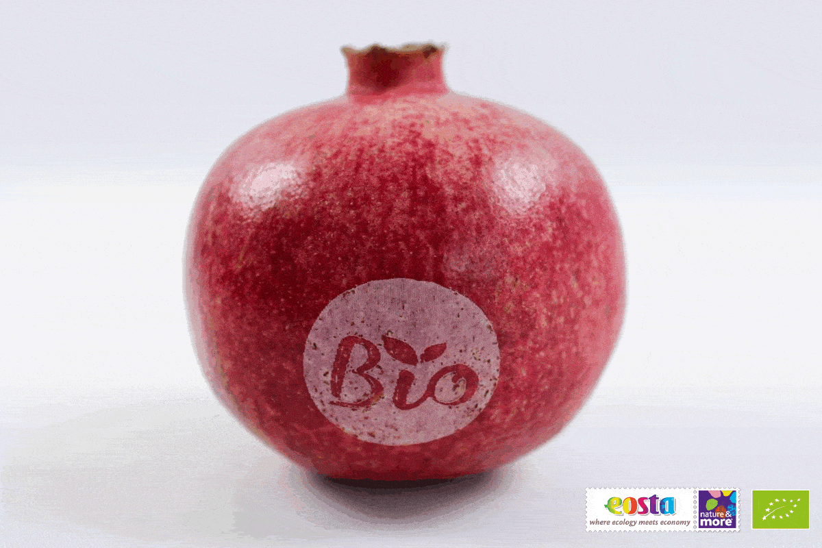 1920 invertednaturalbranding