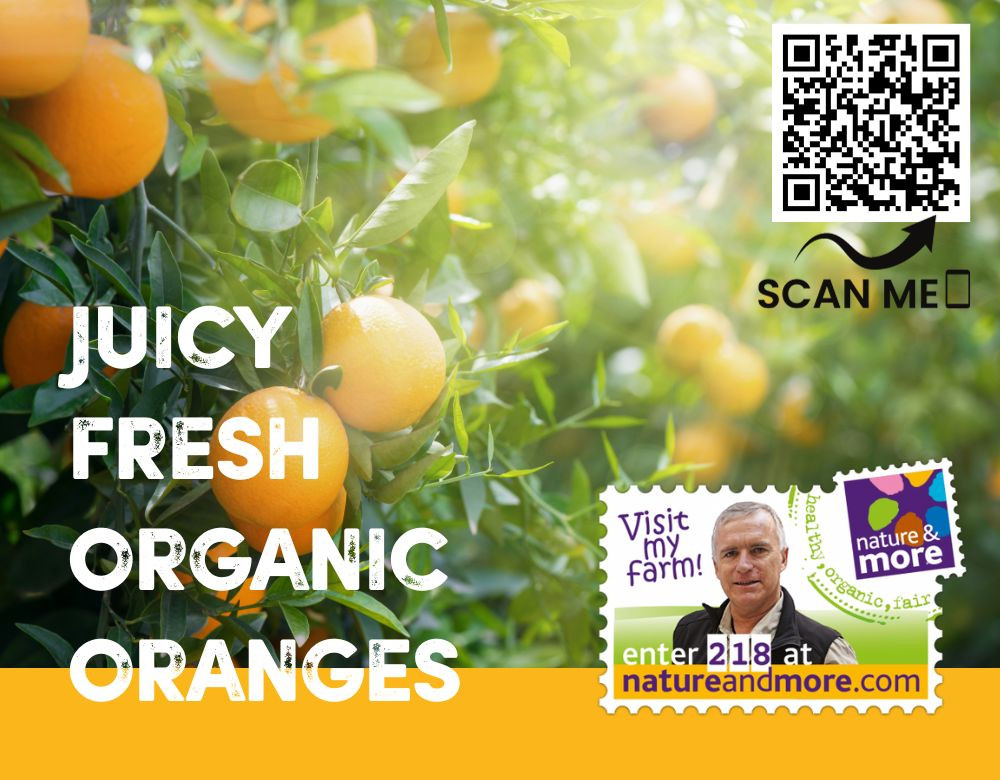 1920 orangetree3