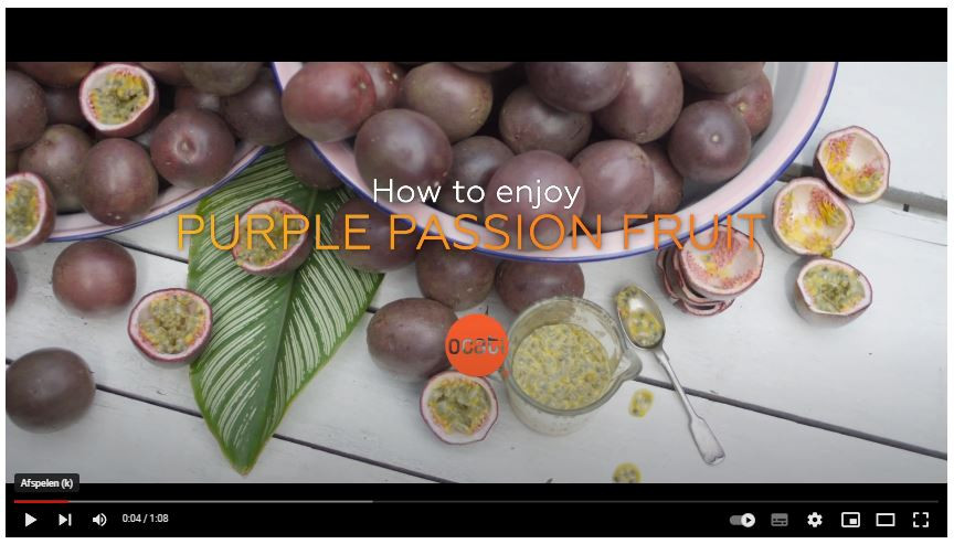 1920 passionfruit