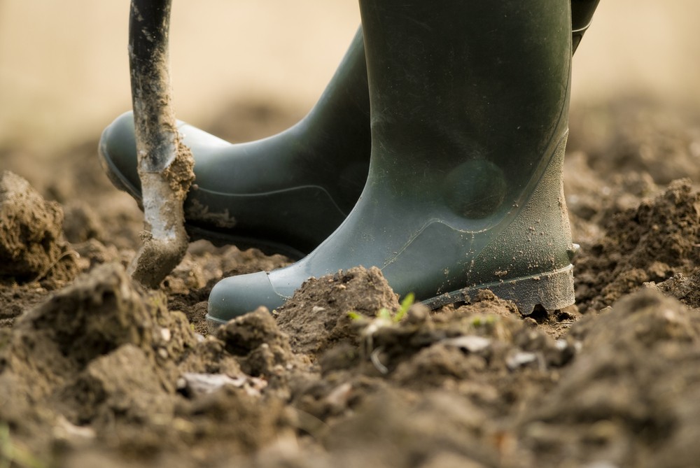 1920 soil2