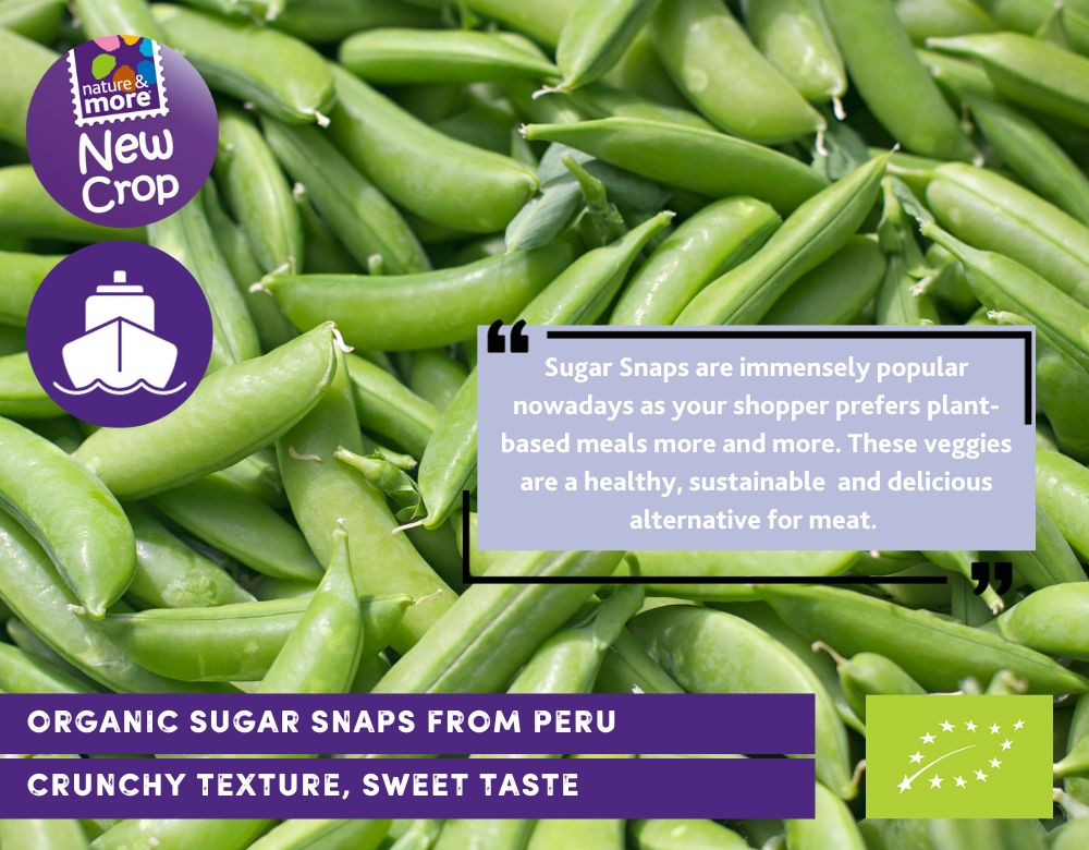 1920 sugarsnap
