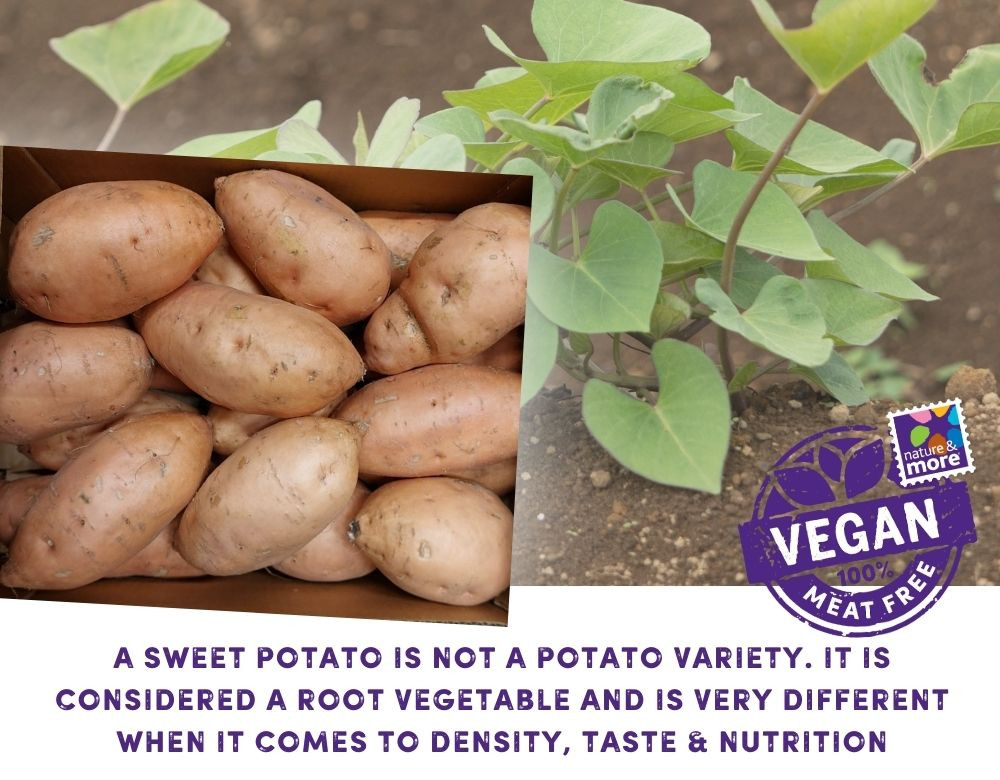 1920 sweetpotatoe1