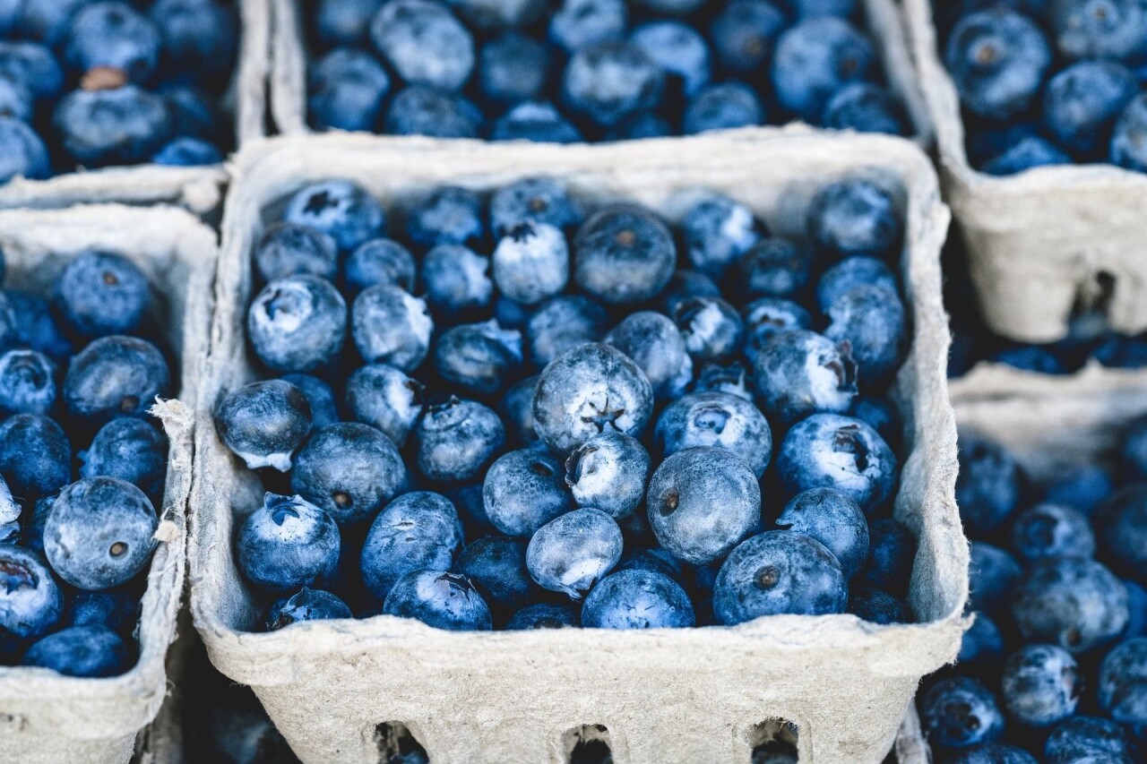 Blueberries 1