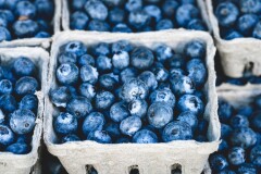 Blueberries 1