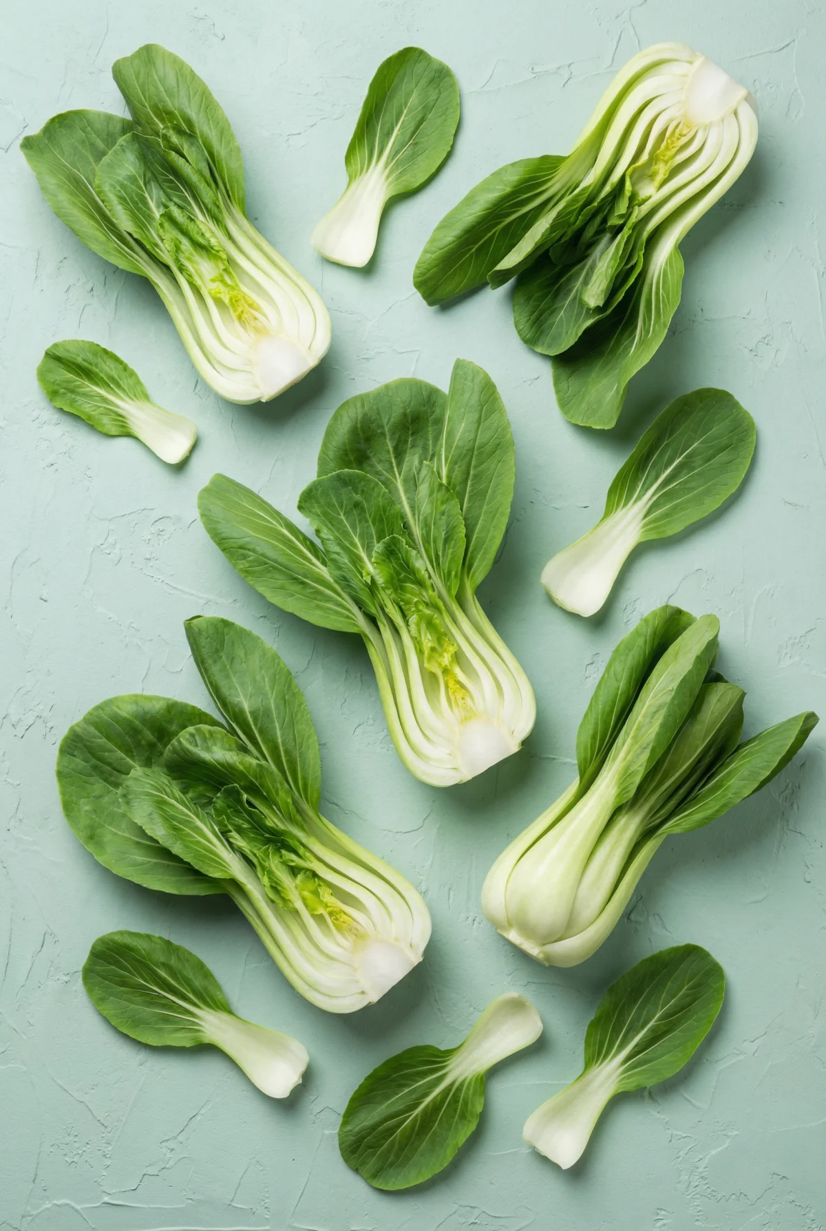 Bok Choy
