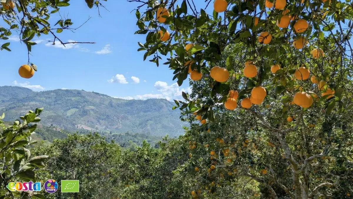 Citrus