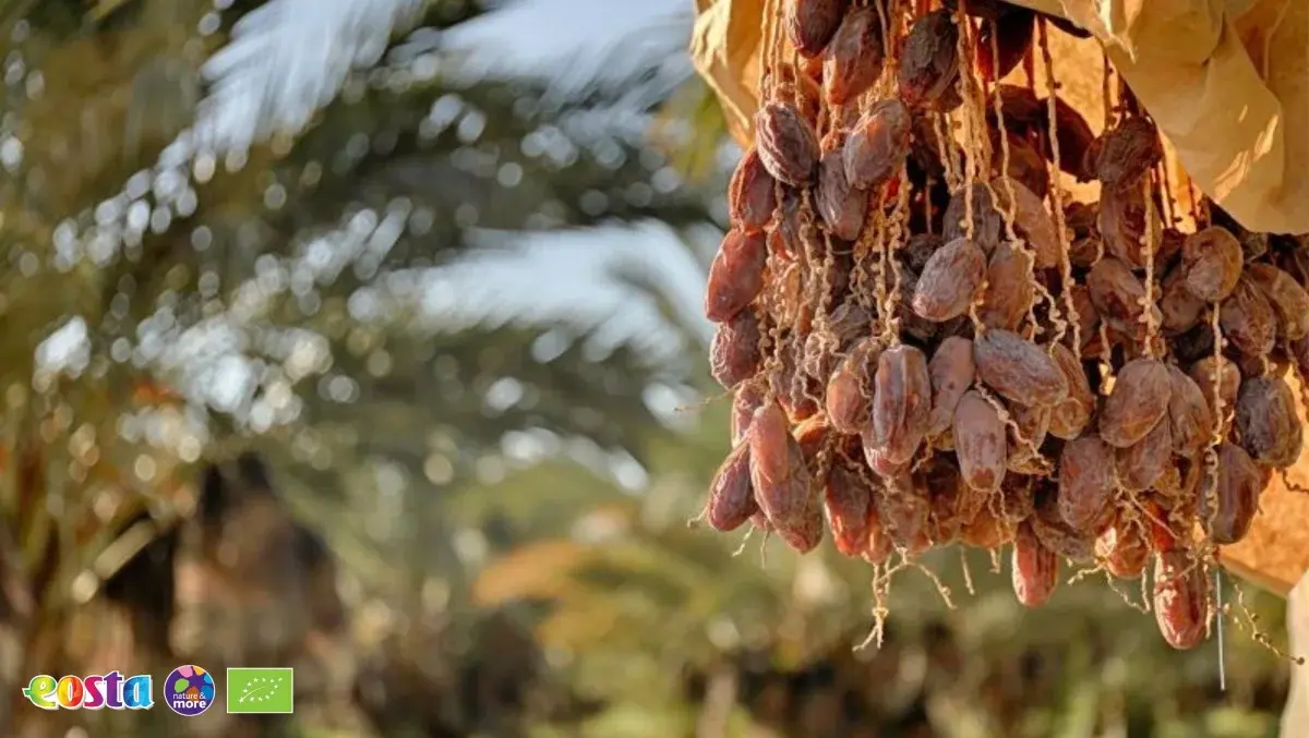 Dates (2)