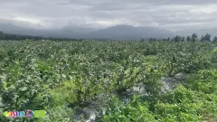 Expo fresh (2)