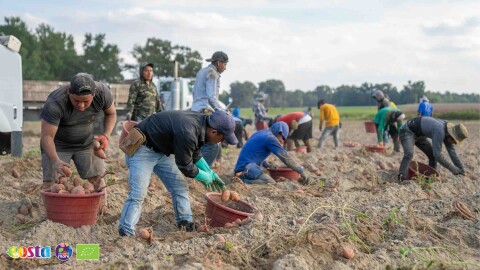 Global Food Trends 2050 (1)