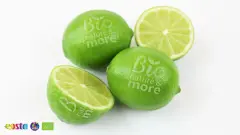 Limes (4)