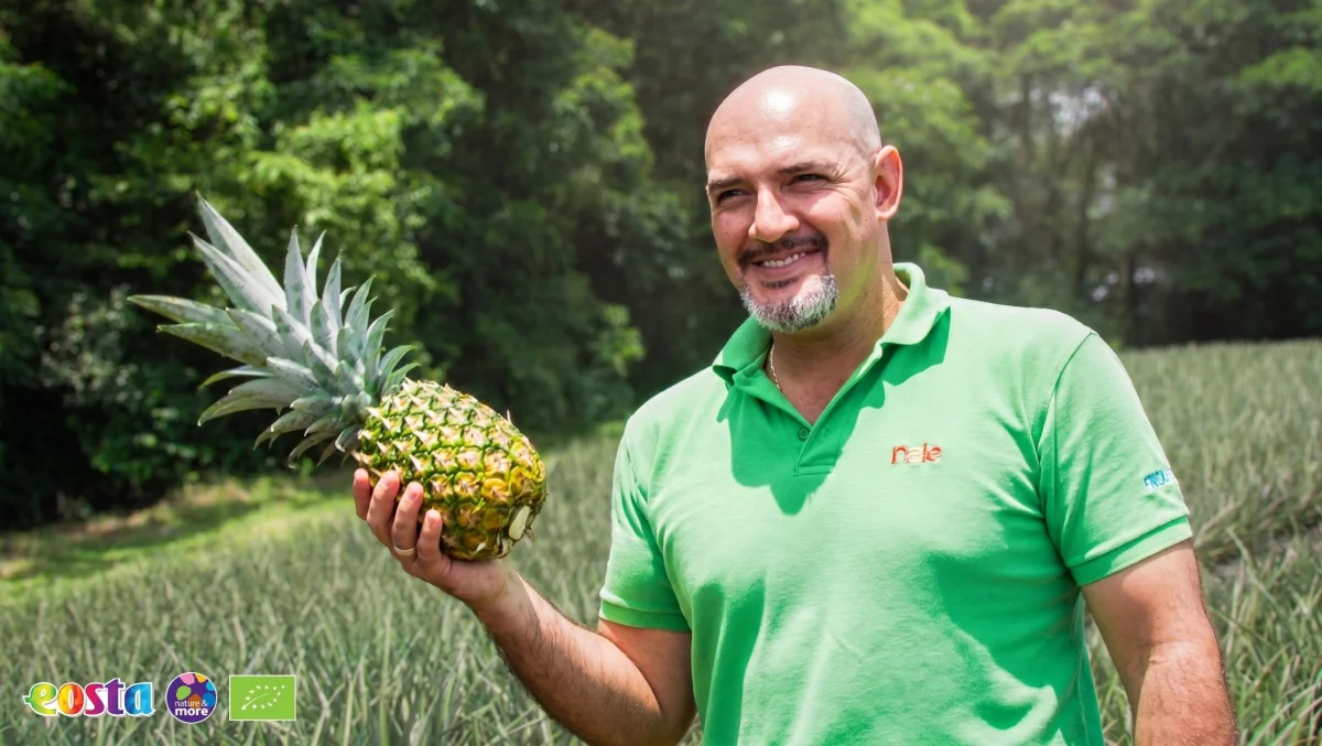 Pineapple