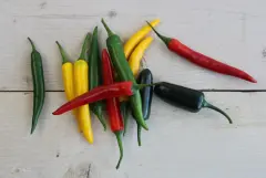 Schermafbeelding 2023 06 01 141834