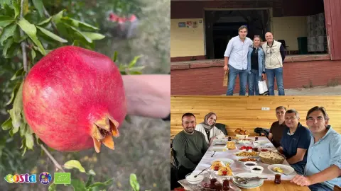 Two growers, two stories (3)